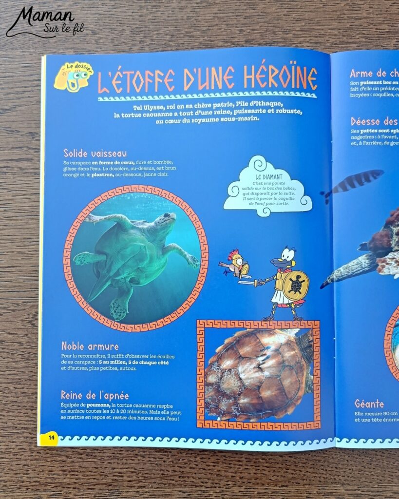 Fabriquer une boite de sardines fleuries en récup' de carton et papier + présentation des nouveaux magazines Salamandre : activité créative et manuelle et lecture enfants - Les sardines sont découpées dans du papier à motifs fleuris - La boite est fabriquée avec du recyclage de carton et du papier gris - Recyclage, surcyclage, découpage, collage - Avis sur les nouveaux magazines Petite Salamandre sur les sardines, Salamandre Junior sur les tortues marines caouanne, et Revue Salamandre sur les cachalots - Magazines parfaits pour 4 à 99 ans, enfants et adultes, amoureux de la nature et des animaux - Maternelle, Primaire et collège - 3 versions pour tout âge - Complet et qualitatif - Reportages, belles photos, BD, jeux, activités manuelles... - Bricolage et décoration DIY et facile - Bricolage Fait maison, décoration - Thème Animaux et nature, animaux marins, poissons, océans, mers, été - Bricolage sympa et facile - Code promo pour un numéro gratuit - Arts visuels Maternelle et cycle 2 - Maternelle et élémentaire - Créativité et lecture jeunesse - Cycle 1 ou 2 - tutoriel photos - mslf