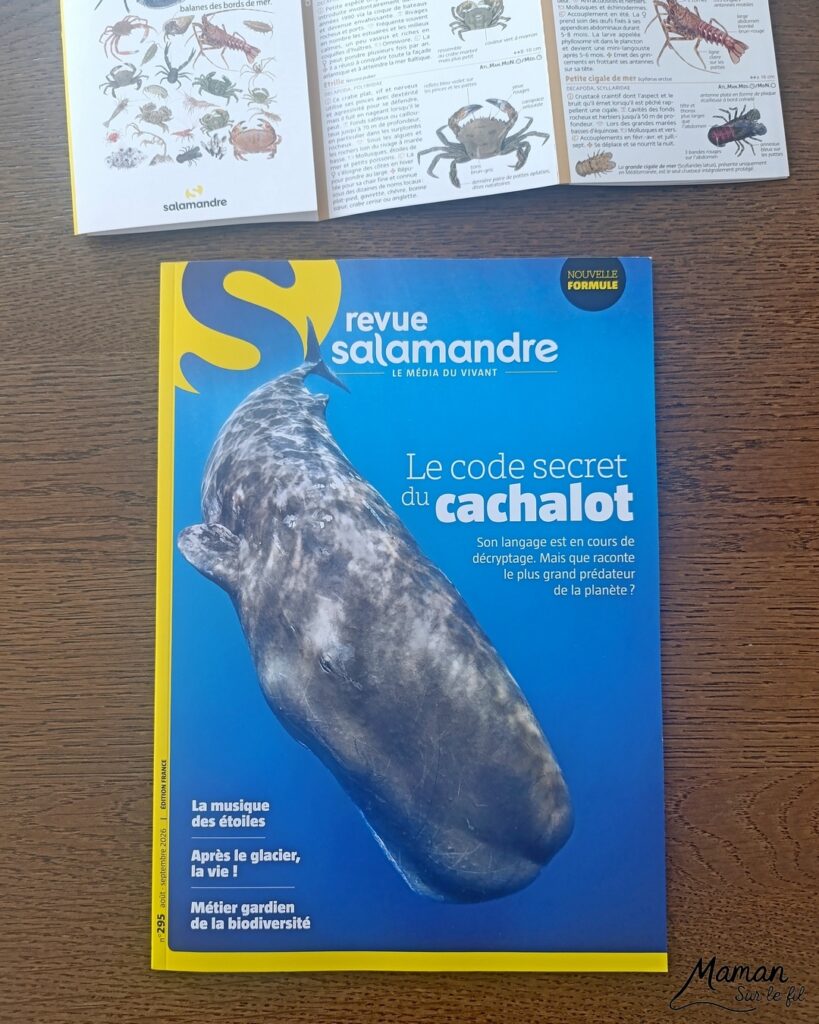 Fabriquer une boite de sardines fleuries en récup' de carton et papier + présentation des nouveaux magazines Salamandre : activité créative et manuelle et lecture enfants - Les sardines sont découpées dans du papier à motifs fleuris - La boite est fabriquée avec du recyclage de carton et du papier gris - Recyclage, surcyclage, découpage, collage - Avis sur les nouveaux magazines Petite Salamandre sur les sardines, Salamandre Junior sur les tortues marines caouanne, et Revue Salamandre sur les cachalots - Magazines parfaits pour 4 à 99 ans, enfants et adultes, amoureux de la nature et des animaux - Maternelle, Primaire et collège - 3 versions pour tout âge - Complet et qualitatif - Reportages, belles photos, BD, jeux, activités manuelles... - Bricolage et décoration DIY et facile - Bricolage Fait maison, décoration - Thème Animaux et nature, animaux marins, poissons, océans, mers, été - Bricolage sympa et facile - Code promo pour un numéro gratuit - Arts visuels Maternelle et cycle 2 - Maternelle et élémentaire - Créativité et lecture jeunesse - Cycle 1 ou 2 - tutoriel photos - mslf