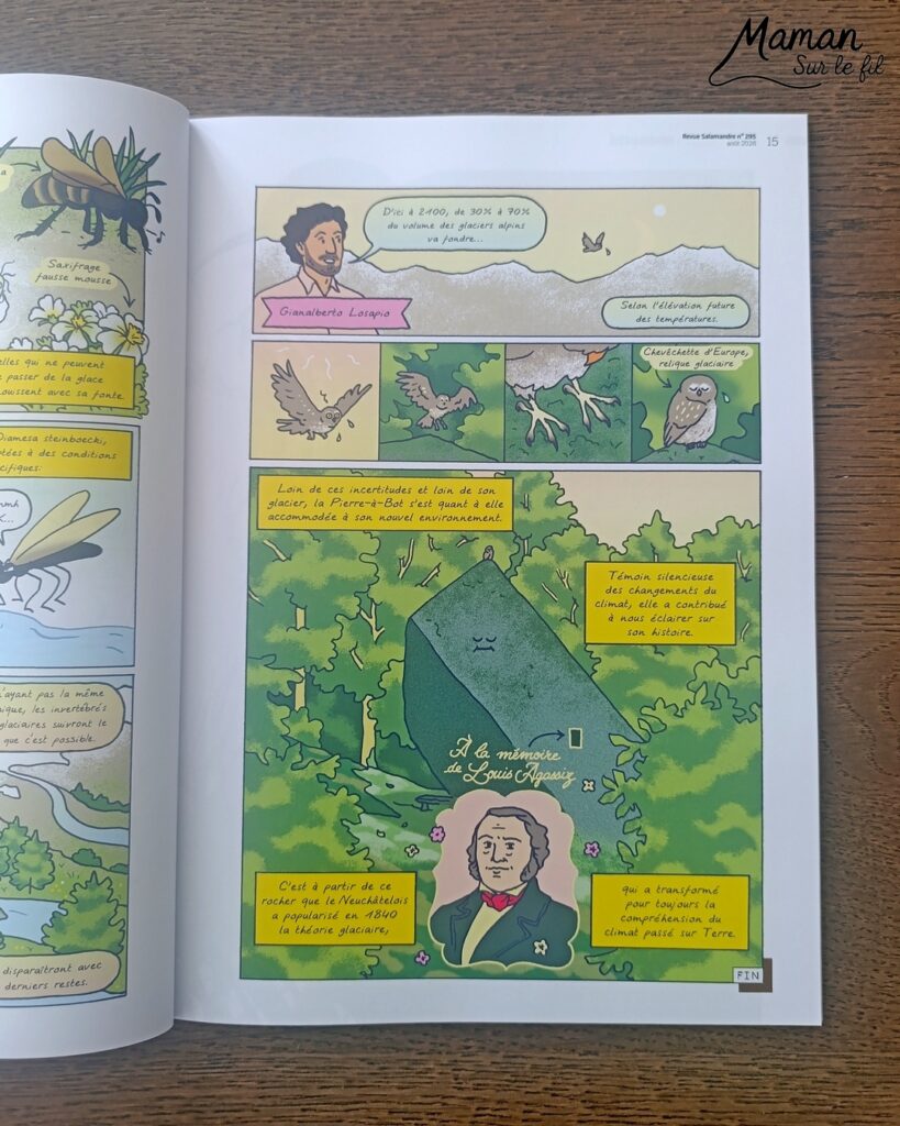 Fabriquer une boite de sardines fleuries en récup' de carton et papier + présentation des nouveaux magazines Salamandre : activité créative et manuelle et lecture enfants - Les sardines sont découpées dans du papier à motifs fleuris - La boite est fabriquée avec du recyclage de carton et du papier gris - Recyclage, surcyclage, découpage, collage - Avis sur les nouveaux magazines Petite Salamandre sur les sardines, Salamandre Junior sur les tortues marines caouanne, et Revue Salamandre sur les cachalots - Magazines parfaits pour 4 à 99 ans, enfants et adultes, amoureux de la nature et des animaux - Maternelle, Primaire et collège - 3 versions pour tout âge - Complet et qualitatif - Reportages, belles photos, BD, jeux, activités manuelles... - Bricolage et décoration DIY et facile - Bricolage Fait maison, décoration - Thème Animaux et nature, animaux marins, poissons, océans, mers, été - Bricolage sympa et facile - Code promo pour un numéro gratuit - Arts visuels Maternelle et cycle 2 - Maternelle et élémentaire - Créativité et lecture jeunesse - Cycle 1 ou 2 - tutoriel photos - mslf