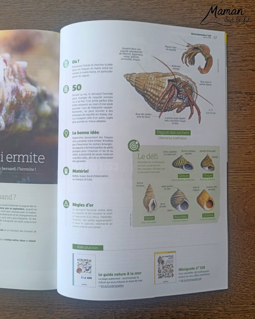 Fabriquer une boite de sardines fleuries en récup' de carton et papier + présentation des nouveaux magazines Salamandre : activité créative et manuelle et lecture enfants - Les sardines sont découpées dans du papier à motifs fleuris - La boite est fabriquée avec du recyclage de carton et du papier gris - Recyclage, surcyclage, découpage, collage - Avis sur les nouveaux magazines Petite Salamandre sur les sardines, Salamandre Junior sur les tortues marines caouanne, et Revue Salamandre sur les cachalots - Magazines parfaits pour 4 à 99 ans, enfants et adultes, amoureux de la nature et des animaux - Maternelle, Primaire et collège - 3 versions pour tout âge - Complet et qualitatif - Reportages, belles photos, BD, jeux, activités manuelles... - Bricolage et décoration DIY et facile - Bricolage Fait maison, décoration - Thème Animaux et nature, animaux marins, poissons, océans, mers, été - Bricolage sympa et facile - Code promo pour un numéro gratuit - Arts visuels Maternelle et cycle 2 - Maternelle et élémentaire - Créativité et lecture jeunesse - Cycle 1 ou 2 - tutoriel photos - mslf