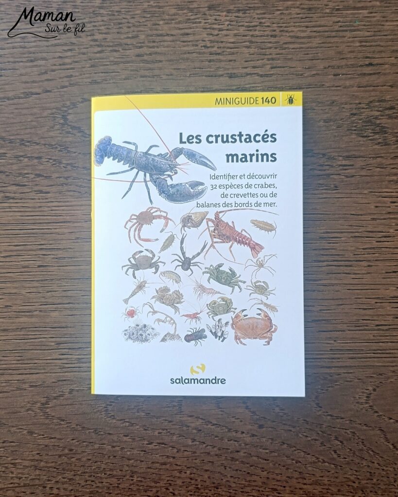 Fabriquer une boite de sardines fleuries en récup' de carton et papier + présentation des nouveaux magazines Salamandre : activité créative et manuelle et lecture enfants - Les sardines sont découpées dans du papier à motifs fleuris - La boite est fabriquée avec du recyclage de carton et du papier gris - Recyclage, surcyclage, découpage, collage - Avis sur les nouveaux magazines Petite Salamandre sur les sardines, Salamandre Junior sur les tortues marines caouanne, et Revue Salamandre sur les cachalots - Magazines parfaits pour 4 à 99 ans, enfants et adultes, amoureux de la nature et des animaux - Maternelle, Primaire et collège - 3 versions pour tout âge - Complet et qualitatif - Reportages, belles photos, BD, jeux, activités manuelles... - Bricolage et décoration DIY et facile - Bricolage Fait maison, décoration - Thème Animaux et nature, animaux marins, poissons, océans, mers, été - Bricolage sympa et facile - Code promo pour un numéro gratuit - Arts visuels Maternelle et cycle 2 - Maternelle et élémentaire - Créativité et lecture jeunesse - Cycle 1 ou 2 - tutoriel photos - mslf