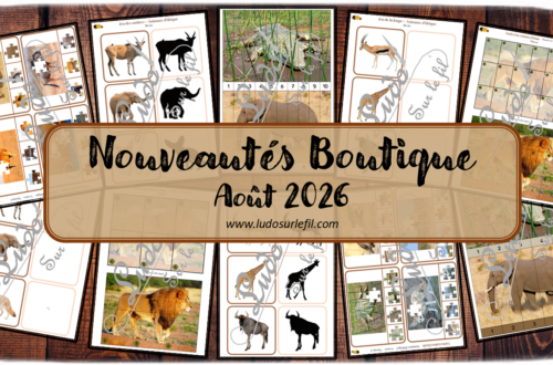 Nouveautés août 2026 - Boutique en ligne Ludo sur le fil - fichiers jeux pdf à télécharger et imprimer ou jeux imprimés envoyés à domicile - Thèmes Animaux d'Afrique, de la savane, du désert, été - jeu des ombres, de la loupe, cartes à pince, puzzles, puzzles trac, puzzles numériques, calcul, dénombrement, mathématiques, observation, discrimination visuelle, mémoire, langage oral, vocabulaire, Montessori - Photos sur fond blanc - Association, mise en paire, mathématiques - jeux, activités - PDF à télécharger et imprimer - PDF Gratuit, Printable à télécharger gratuitement - Kit thématique - atelier autocorrectif multi niveaux donc progressif - Vocabulaire, lexique - Maternelle Cycle 2 - Autonomie - mslf