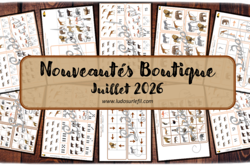 Nouveautés juillet 2026 - Boutique en ligne Ludo sur le fil - fichiers jeux pdf à télécharger et imprimer ou jeux imprimés envoyés à domicile - Thèmes Animaux d'Afrique, de la savane, du désert, été - reproduis la grille, parcours codés, carte à pince, dénombrement, mathématiques, observation, discrimination visuelle, mémoire, langage oral, vocabulaire, Montessori - Photos sur fond blanc - Association, mise en paire, mathématiques - jeux, activités - PDF à télécharger et imprimer - PDF Gratuit, Printable à télécharger gratuitement - Kit thématique - atelier autocorrectif multi niveaux donc progressif - Vocabulaire, lexique - Maternelle Cycle 2 - Autonomie - mslf