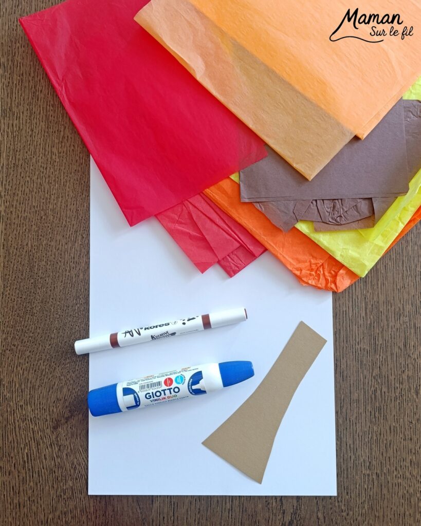 Créer un arbre d'automne en papier de soie froissé et présentation de l'agenda de la nature du jardin 2027 Salamandre : activité créative, collage et manuelle et lecture enfants - Motricité fine pour créer les boules en froissant le papier de soie (ou le papier crépon) - Récup', recyclage, surcyclage de papier de soie des colis - Découpage, collage, dessin - Avis sur le nouvel agenda de la nature au jardin Salamandre 2027 - Plein de petites informations et astuces - parfaits pour 4 à 99 ans, amoureux de la nature et des animaux - Maternelle, Primaire, collège, lycée, adultes - Complet et qualitatif - Jolies illustrations - Bricolage et décoration DIY et facile - Bricolage Fait maison, décoration - Thème Forêts, Arbres, automne, animaux, nature - Bricolage sympa et facile - Arts visuels Maternelle et cycle 2 - Maternelle et élémentaire - Créativité et lecture jeunesse - Cycle 1 ou 2 - tutoriel photos et vidéo - mslf