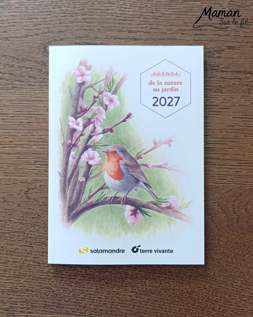 Créer un arbre d'automne en papier de soie froissé et présentation de l'agenda de la nature du jardin 2027 Salamandre : activité créative, collage et manuelle et lecture enfants - Motricité fine pour créer les boules en froissant le papier de soie (ou le papier crépon) - Récup', recyclage, surcyclage de papier de soie des colis - Découpage, collage, dessin - Avis sur le nouvel agenda de la nature au jardin Salamandre 2027 - Plein de petites informations et astuces - parfaits pour 4 à 99 ans, amoureux de la nature et des animaux - Maternelle, Primaire, collège, lycée, adultes - Complet et qualitatif - Jolies illustrations - Bricolage et décoration DIY et facile - Bricolage Fait maison, décoration - Thème Forêts, Arbres, automne, animaux, nature - Bricolage sympa et facile - Arts visuels Maternelle et cycle 2 - Maternelle et élémentaire - Créativité et lecture jeunesse - Cycle 1 ou 2 - tutoriel photos et vidéo - mslf