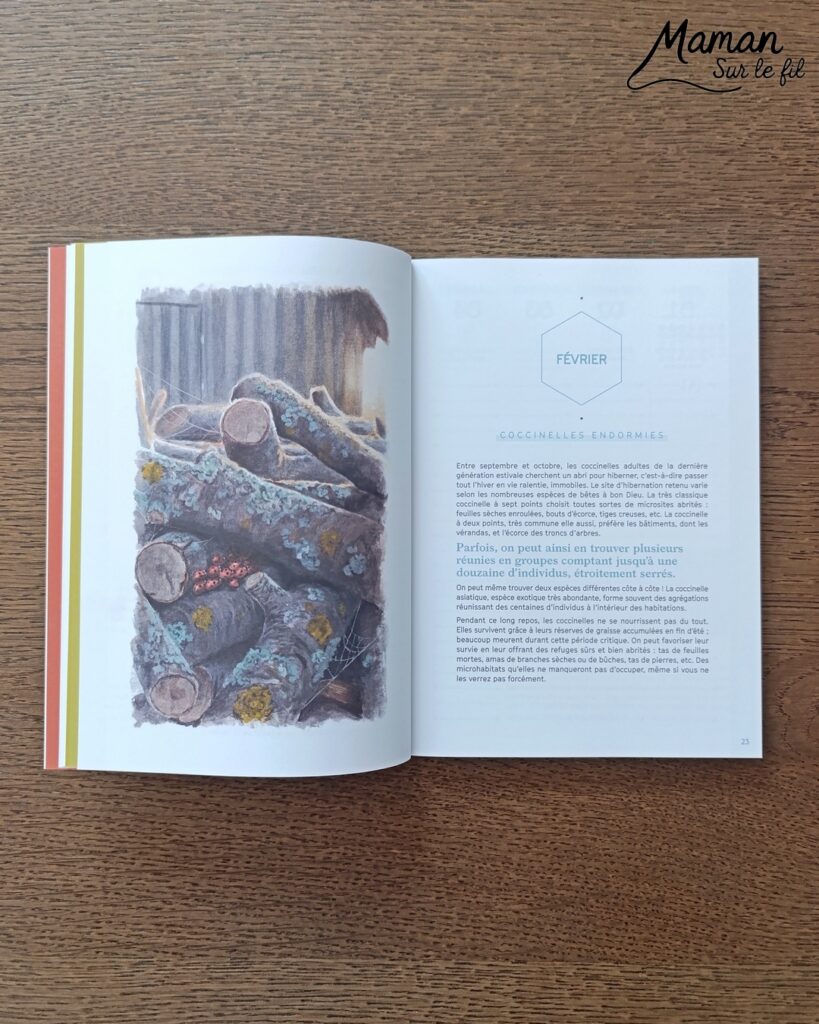 Créer un arbre d'automne en papier de soie froissé et présentation de l'agenda de la nature du jardin 2027 Salamandre : activité créative, collage et manuelle et lecture enfants - Motricité fine pour créer les boules en froissant le papier de soie (ou le papier crépon) - Récup', recyclage, surcyclage de papier de soie des colis - Découpage, collage, dessin - Avis sur le nouvel agenda de la nature au jardin Salamandre 2027 - Plein de petites informations et astuces - parfaits pour 4 à 99 ans, amoureux de la nature et des animaux - Maternelle, Primaire, collège, lycée, adultes - Complet et qualitatif - Jolies illustrations - Bricolage et décoration DIY et facile - Bricolage Fait maison, décoration - Thème Forêts, Arbres, automne, animaux, nature - Bricolage sympa et facile - Arts visuels Maternelle et cycle 2 - Maternelle et élémentaire - Créativité et lecture jeunesse - Cycle 1 ou 2 - tutoriel photos et vidéo - mslf