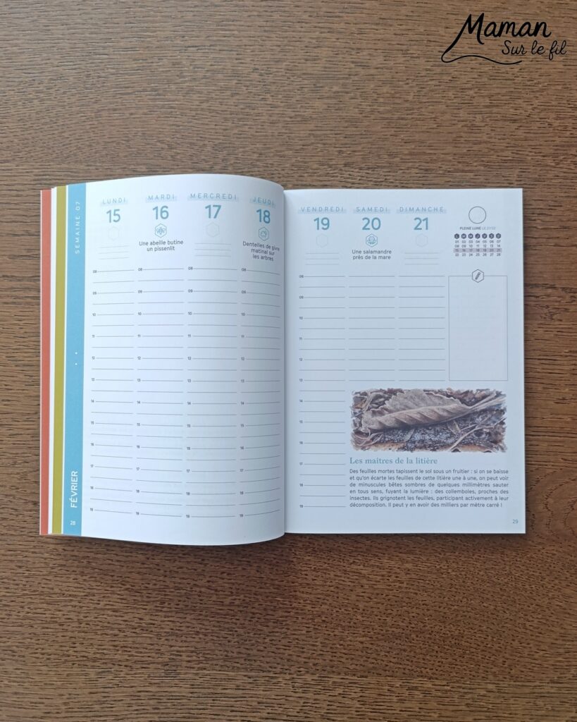 Créer un arbre d'automne en papier de soie froissé et présentation de l'agenda de la nature du jardin 2027 Salamandre : activité créative, collage et manuelle et lecture enfants - Motricité fine pour créer les boules en froissant le papier de soie (ou le papier crépon) - Récup', recyclage, surcyclage de papier de soie des colis - Découpage, collage, dessin - Avis sur le nouvel agenda de la nature au jardin Salamandre 2027 - Plein de petites informations et astuces - parfaits pour 4 à 99 ans, amoureux de la nature et des animaux - Maternelle, Primaire, collège, lycée, adultes - Complet et qualitatif - Jolies illustrations - Bricolage et décoration DIY et facile - Bricolage Fait maison, décoration - Thème Forêts, Arbres, automne, animaux, nature - Bricolage sympa et facile - Arts visuels Maternelle et cycle 2 - Maternelle et élémentaire - Créativité et lecture jeunesse - Cycle 1 ou 2 - tutoriel photos et vidéo - mslf