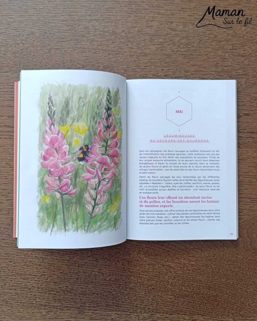 Créer un arbre d'automne en papier de soie froissé et présentation de l'agenda de la nature du jardin 2027 Salamandre : activité créative, collage et manuelle et lecture enfants - Motricité fine pour créer les boules en froissant le papier de soie (ou le papier crépon) - Récup', recyclage, surcyclage de papier de soie des colis - Découpage, collage, dessin - Avis sur le nouvel agenda de la nature au jardin Salamandre 2027 - Plein de petites informations et astuces - parfaits pour 4 à 99 ans, amoureux de la nature et des animaux - Maternelle, Primaire, collège, lycée, adultes - Complet et qualitatif - Jolies illustrations - Bricolage et décoration DIY et facile - Bricolage Fait maison, décoration - Thème Forêts, Arbres, automne, animaux, nature - Bricolage sympa et facile - Arts visuels Maternelle et cycle 2 - Maternelle et élémentaire - Créativité et lecture jeunesse - Cycle 1 ou 2 - tutoriel photos et vidéo - mslf