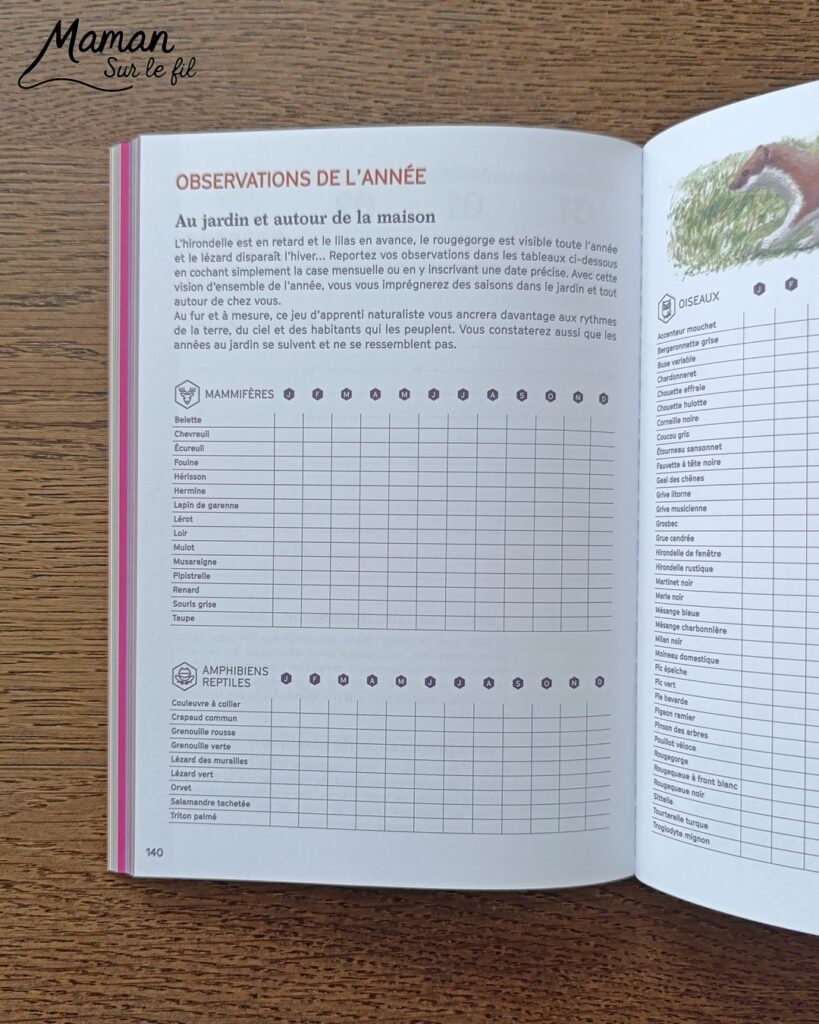 Créer un arbre d'automne en papier de soie froissé et présentation de l'agenda de la nature du jardin 2027 Salamandre : activité créative, collage et manuelle et lecture enfants - Motricité fine pour créer les boules en froissant le papier de soie (ou le papier crépon) - Récup', recyclage, surcyclage de papier de soie des colis - Découpage, collage, dessin - Avis sur le nouvel agenda de la nature au jardin Salamandre 2027 - Plein de petites informations et astuces - parfaits pour 4 à 99 ans, amoureux de la nature et des animaux - Maternelle, Primaire, collège, lycée, adultes - Complet et qualitatif - Jolies illustrations - Bricolage et décoration DIY et facile - Bricolage Fait maison, décoration - Thème Forêts, Arbres, automne, animaux, nature - Bricolage sympa et facile - Arts visuels Maternelle et cycle 2 - Maternelle et élémentaire - Créativité et lecture jeunesse - Cycle 1 ou 2 - tutoriel photos et vidéo - mslf