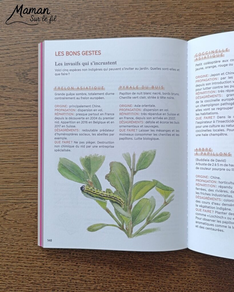 Créer un arbre d'automne en papier de soie froissé et présentation de l'agenda de la nature du jardin 2027 Salamandre : activité créative, collage et manuelle et lecture enfants - Motricité fine pour créer les boules en froissant le papier de soie (ou le papier crépon) - Récup', recyclage, surcyclage de papier de soie des colis - Découpage, collage, dessin - Avis sur le nouvel agenda de la nature au jardin Salamandre 2027 - Plein de petites informations et astuces - parfaits pour 4 à 99 ans, amoureux de la nature et des animaux - Maternelle, Primaire, collège, lycée, adultes - Complet et qualitatif - Jolies illustrations - Bricolage et décoration DIY et facile - Bricolage Fait maison, décoration - Thème Forêts, Arbres, automne, animaux, nature - Bricolage sympa et facile - Arts visuels Maternelle et cycle 2 - Maternelle et élémentaire - Créativité et lecture jeunesse - Cycle 1 ou 2 - tutoriel photos et vidéo - mslf