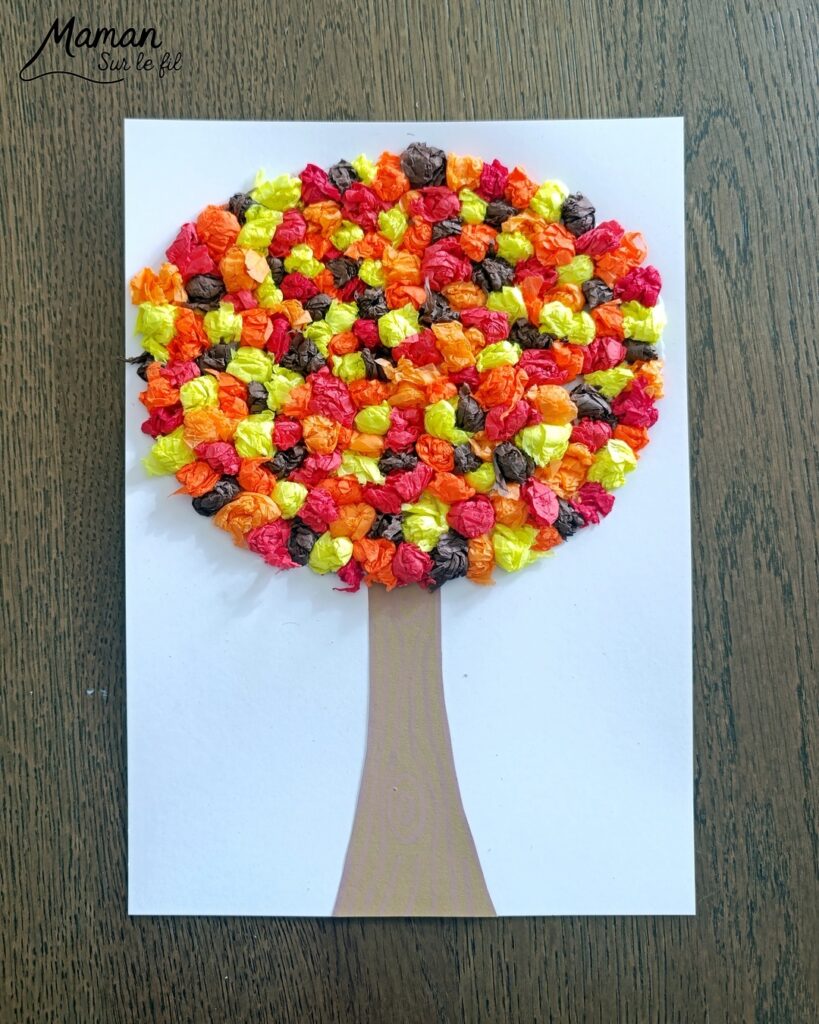 Créer un arbre d'automne en papier de soie froissé et présentation de l'agenda de la nature du jardin 2027 Salamandre : activité créative, collage et manuelle et lecture enfants - Motricité fine pour créer les boules en froissant le papier de soie (ou le papier crépon) - Récup', recyclage, surcyclage de papier de soie des colis - Découpage, collage, dessin - Avis sur le nouvel agenda de la nature au jardin Salamandre 2027 - Plein de petites informations et astuces - parfaits pour 4 à 99 ans, amoureux de la nature et des animaux - Maternelle, Primaire, collège, lycée, adultes - Complet et qualitatif - Jolies illustrations - Bricolage et décoration DIY et facile - Bricolage Fait maison, décoration - Thème Forêts, Arbres, automne, animaux, nature - Bricolage sympa et facile - Arts visuels Maternelle et cycle 2 - Maternelle et élémentaire - Créativité et lecture jeunesse - Cycle 1 ou 2 - tutoriel photos et vidéo - mslf