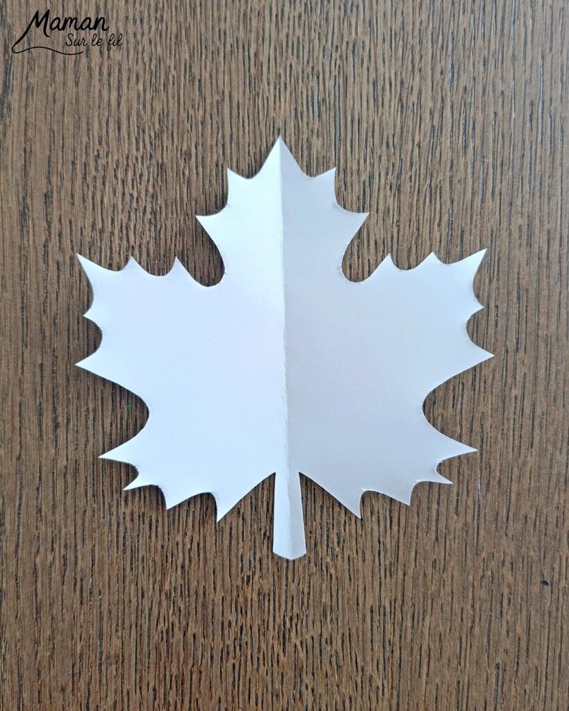 Créer une guirlande de feuilles mortes d'automne en peinture symétrique : activité créative, peinture et manuelle - Découpage des feuilles et peinture par symétrie en pliant le papier en deux - Technique de peinture pour aborder la symétrie - Couleurs chaudes et automnales - Scotchage à un fil ou à un bout de laine pour en faire une guirlande à suspendre, une suspension pour décorer - Bricolage et décoration DIY et facile - Bricolage Fait maison, décoration - Thème Forêts, Arbres, feuilles mortes, automne - Bricolage sympa et facile - Arts visuels Maternelle et cycle 2 - Maternelle et élémentaire - Créativité et lecture jeunesse - Cycle 1 ou 2 - tutoriel photos - mslf