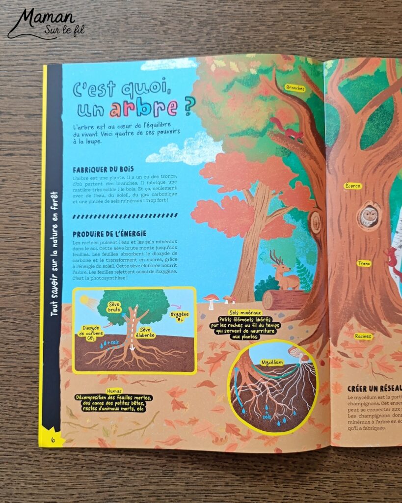 Créer une vache au milieu des feuilles d'automne et présentation des nouveaux hors-séries Salamandre : activité créative, peinture, collage et manuelle et lecture enfants - Fond en peinture à l'éponge dans des couleurs chaudes et automnales - Découpage des éléments de la vache et des feuilles - Dessin des détails et collage des éléments - Avis sur les magazines Hors-série Petite Salamandre, Salamandre Junior, Revue Salamandre parfaits pour 4 à 99 ans, amoureux de la nature et des animaux - Maternelle, Primaire, collège, lycée, adultes - 3 versions pour tout âge - Complet et qualitatif - Reportages, belles photos, BD, jeux, activités manuelles... - Bricolage et décoration DIY et facile - Bricolage Fait maison, décoration - Thème Forêts, Arbres, animaux des bois, automne, animaux de la ferme - Bricolage sympa et facile - Arts visuels Maternelle et cycle 2 - Maternelle et élémentaire - Créativité et lecture jeunesse - Cycle 1 ou 2 - tutoriel photos - mslf