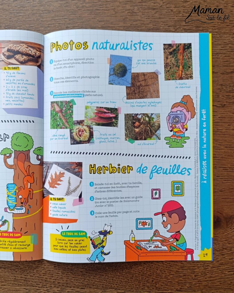 Créer une vache au milieu des feuilles d'automne et présentation des nouveaux hors-séries Salamandre : activité créative, peinture, collage et manuelle et lecture enfants - Fond en peinture à l'éponge dans des couleurs chaudes et automnales - Découpage des éléments de la vache et des feuilles - Dessin des détails et collage des éléments - Avis sur les magazines Hors-série Petite Salamandre, Salamandre Junior, Revue Salamandre parfaits pour 4 à 99 ans, amoureux de la nature et des animaux - Maternelle, Primaire, collège, lycée, adultes - 3 versions pour tout âge - Complet et qualitatif - Reportages, belles photos, BD, jeux, activités manuelles... - Bricolage et décoration DIY et facile - Bricolage Fait maison, décoration - Thème Forêts, Arbres, animaux des bois, automne, animaux de la ferme - Bricolage sympa et facile - Arts visuels Maternelle et cycle 2 - Maternelle et élémentaire - Créativité et lecture jeunesse - Cycle 1 ou 2 - tutoriel photos - mslf