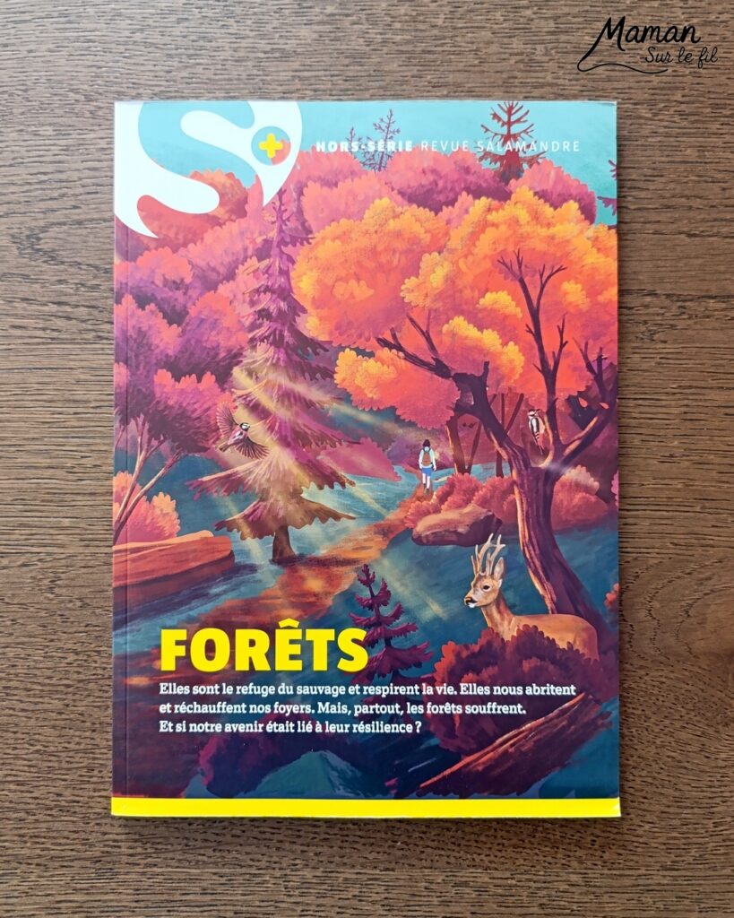 Créer une vache au milieu des feuilles d'automne et présentation des nouveaux hors-séries Salamandre : activité créative, peinture, collage et manuelle et lecture enfants - Fond en peinture à l'éponge dans des couleurs chaudes et automnales - Découpage des éléments de la vache et des feuilles - Dessin des détails et collage des éléments - Avis sur les magazines Hors-série Petite Salamandre, Salamandre Junior, Revue Salamandre parfaits pour 4 à 99 ans, amoureux de la nature et des animaux - Maternelle, Primaire, collège, lycée, adultes - 3 versions pour tout âge - Complet et qualitatif - Reportages, belles photos, BD, jeux, activités manuelles... - Bricolage et décoration DIY et facile - Bricolage Fait maison, décoration - Thème Forêts, Arbres, animaux des bois, automne, animaux de la ferme - Bricolage sympa et facile - Arts visuels Maternelle et cycle 2 - Maternelle et élémentaire - Créativité et lecture jeunesse - Cycle 1 ou 2 - tutoriel photos - mslf