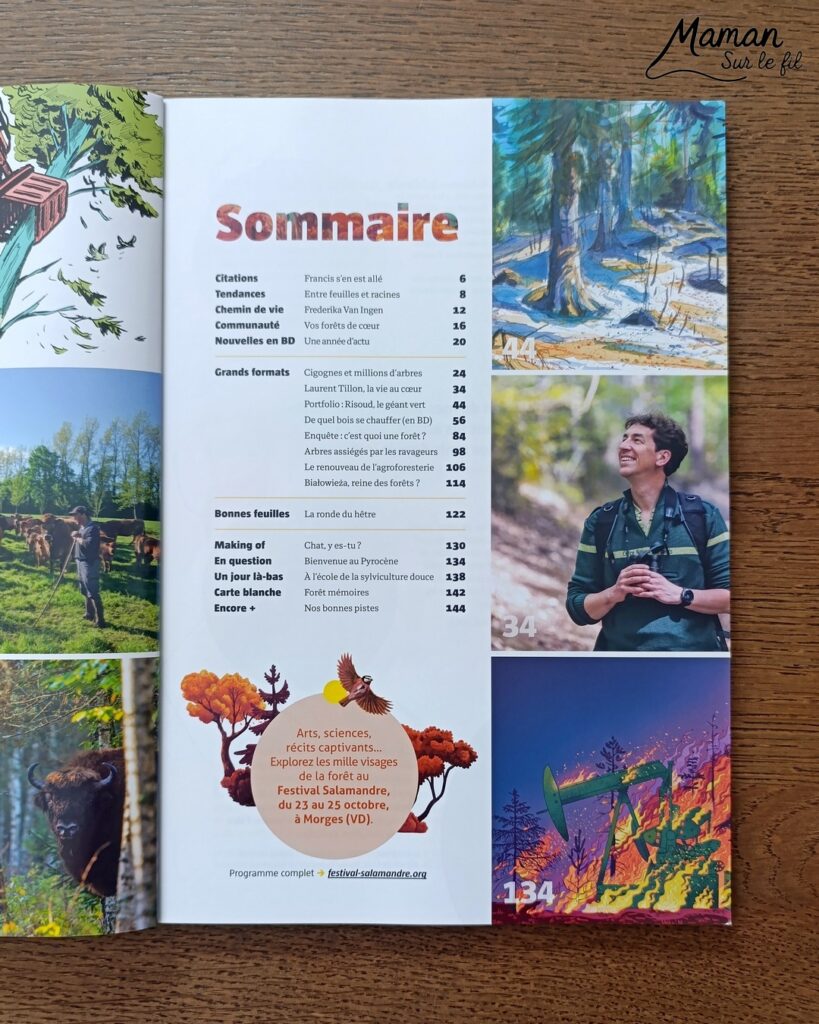 Créer une vache au milieu des feuilles d'automne et présentation des nouveaux hors-séries Salamandre : activité créative, peinture, collage et manuelle et lecture enfants - Fond en peinture à l'éponge dans des couleurs chaudes et automnales - Découpage des éléments de la vache et des feuilles - Dessin des détails et collage des éléments - Avis sur les magazines Hors-série Petite Salamandre, Salamandre Junior, Revue Salamandre parfaits pour 4 à 99 ans, amoureux de la nature et des animaux - Maternelle, Primaire, collège, lycée, adultes - 3 versions pour tout âge - Complet et qualitatif - Reportages, belles photos, BD, jeux, activités manuelles... - Bricolage et décoration DIY et facile - Bricolage Fait maison, décoration - Thème Forêts, Arbres, animaux des bois, automne, animaux de la ferme - Bricolage sympa et facile - Arts visuels Maternelle et cycle 2 - Maternelle et élémentaire - Créativité et lecture jeunesse - Cycle 1 ou 2 - tutoriel photos - mslf
