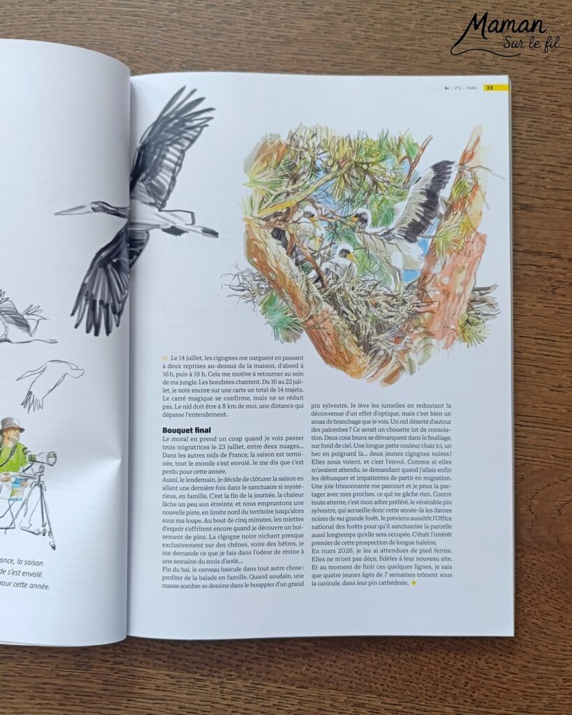 Créer une vache au milieu des feuilles d'automne et présentation des nouveaux hors-séries Salamandre : activité créative, peinture, collage et manuelle et lecture enfants - Fond en peinture à l'éponge dans des couleurs chaudes et automnales - Découpage des éléments de la vache et des feuilles - Dessin des détails et collage des éléments - Avis sur les magazines Hors-série Petite Salamandre, Salamandre Junior, Revue Salamandre parfaits pour 4 à 99 ans, amoureux de la nature et des animaux - Maternelle, Primaire, collège, lycée, adultes - 3 versions pour tout âge - Complet et qualitatif - Reportages, belles photos, BD, jeux, activités manuelles... - Bricolage et décoration DIY et facile - Bricolage Fait maison, décoration - Thème Forêts, Arbres, animaux des bois, automne, animaux de la ferme - Bricolage sympa et facile - Arts visuels Maternelle et cycle 2 - Maternelle et élémentaire - Créativité et lecture jeunesse - Cycle 1 ou 2 - tutoriel photos - mslf