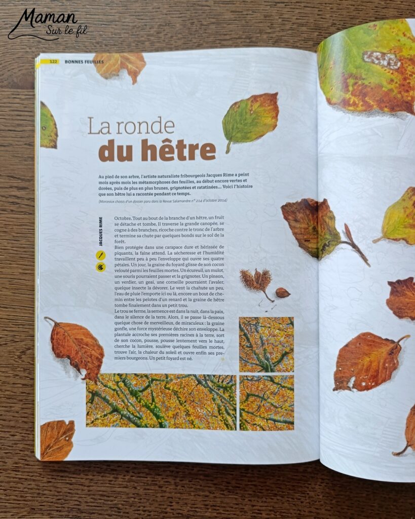 Créer une vache au milieu des feuilles d'automne et présentation des nouveaux hors-séries Salamandre : activité créative, peinture, collage et manuelle et lecture enfants - Fond en peinture à l'éponge dans des couleurs chaudes et automnales - Découpage des éléments de la vache et des feuilles - Dessin des détails et collage des éléments - Avis sur les magazines Hors-série Petite Salamandre, Salamandre Junior, Revue Salamandre parfaits pour 4 à 99 ans, amoureux de la nature et des animaux - Maternelle, Primaire, collège, lycée, adultes - 3 versions pour tout âge - Complet et qualitatif - Reportages, belles photos, BD, jeux, activités manuelles... - Bricolage et décoration DIY et facile - Bricolage Fait maison, décoration - Thème Forêts, Arbres, animaux des bois, automne, animaux de la ferme - Bricolage sympa et facile - Arts visuels Maternelle et cycle 2 - Maternelle et élémentaire - Créativité et lecture jeunesse - Cycle 1 ou 2 - tutoriel photos - mslf