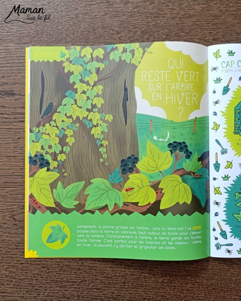 Créer une vache au milieu des feuilles d'automne et présentation des nouveaux hors-séries Salamandre : activité créative, peinture, collage et manuelle et lecture enfants - Fond en peinture à l'éponge dans des couleurs chaudes et automnales - Découpage des éléments de la vache et des feuilles - Dessin des détails et collage des éléments - Avis sur les magazines Hors-série Petite Salamandre, Salamandre Junior, Revue Salamandre parfaits pour 4 à 99 ans, amoureux de la nature et des animaux - Maternelle, Primaire, collège, lycée, adultes - 3 versions pour tout âge - Complet et qualitatif - Reportages, belles photos, BD, jeux, activités manuelles... - Bricolage et décoration DIY et facile - Bricolage Fait maison, décoration - Thème Forêts, Arbres, animaux des bois, automne, animaux de la ferme - Bricolage sympa et facile - Arts visuels Maternelle et cycle 2 - Maternelle et élémentaire - Créativité et lecture jeunesse - Cycle 1 ou 2 - tutoriel photos - mslf