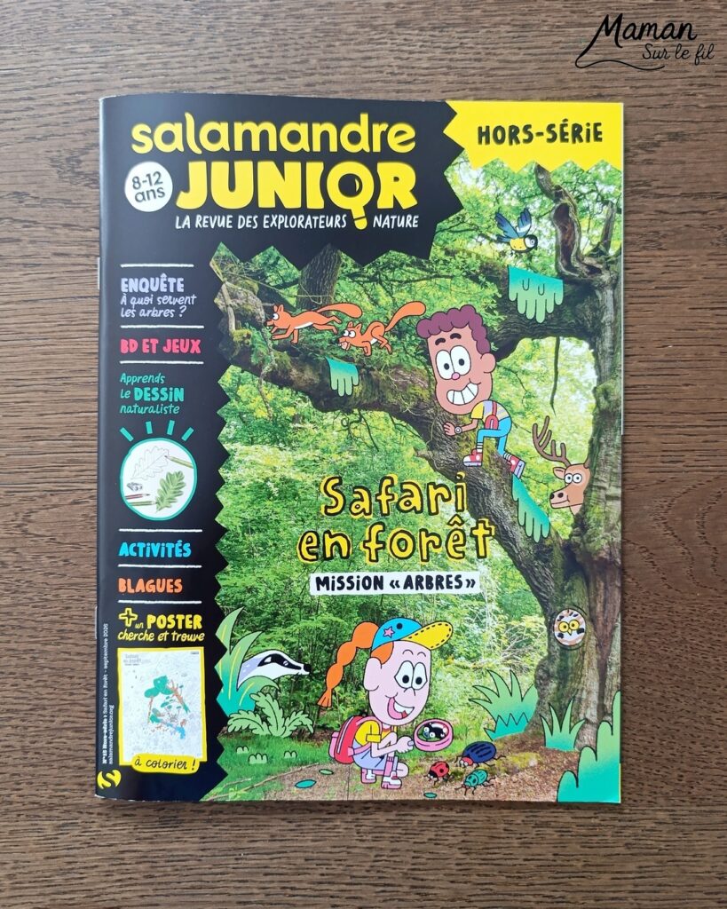 Créer une vache au milieu des feuilles d'automne et présentation des nouveaux hors-séries Salamandre : activité créative, peinture, collage et manuelle et lecture enfants - Fond en peinture à l'éponge dans des couleurs chaudes et automnales - Découpage des éléments de la vache et des feuilles - Dessin des détails et collage des éléments - Avis sur les magazines Hors-série Petite Salamandre, Salamandre Junior, Revue Salamandre parfaits pour 4 à 99 ans, amoureux de la nature et des animaux - Maternelle, Primaire, collège, lycée, adultes - 3 versions pour tout âge - Complet et qualitatif - Reportages, belles photos, BD, jeux, activités manuelles... - Bricolage et décoration DIY et facile - Bricolage Fait maison, décoration - Thème Forêts, Arbres, animaux des bois, automne, animaux de la ferme - Bricolage sympa et facile - Arts visuels Maternelle et cycle 2 - Maternelle et élémentaire - Créativité et lecture jeunesse - Cycle 1 ou 2 - tutoriel photos - mslf
