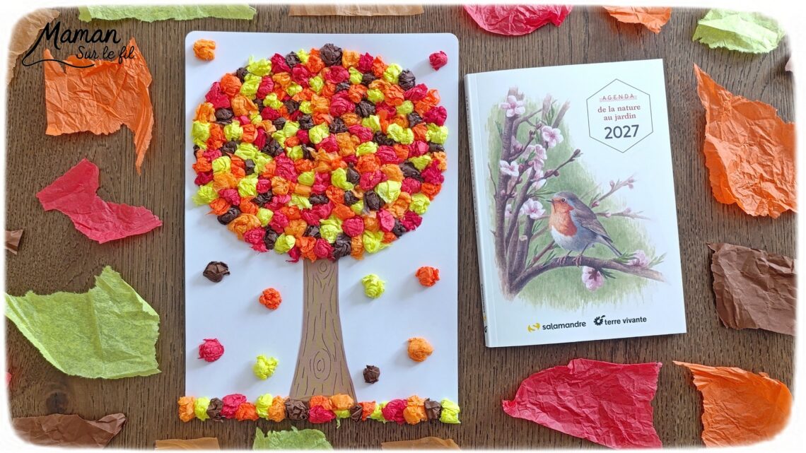 Créer un arbre d'automne en papier de soie froissé et présentation de l'agenda de la nature du jardin 2027 Salamandre : activité créative, collage et manuelle et lecture enfants - Motricité fine pour créer les boules en froissant le papier de soie (ou le papier crépon) - Récup', recyclage, surcyclage de papier de soie des colis - Découpage, collage, dessin - Avis sur le nouvel agenda de la nature au jardin Salamandre 2027 - Plein de petites informations et astuces - parfaits pour 4 à 99 ans, amoureux de la nature et des animaux - Maternelle, Primaire, collège, lycée, adultes - Complet et qualitatif - Jolies illustrations - Bricolage et décoration DIY et facile - Bricolage Fait maison, décoration - Thème Forêts, Arbres, automne, animaux, nature - Bricolage sympa et facile - Arts visuels Maternelle et cycle 2 - Maternelle et élémentaire - Créativité et lecture jeunesse - Cycle 1 ou 2 - tutoriel photos et vidéo - mslf