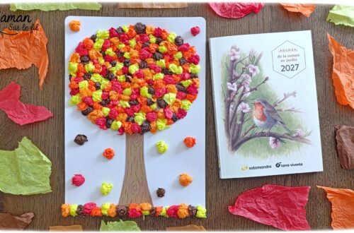 Créer un arbre d'automne en papier de soie froissé et présentation de l'agenda de la nature du jardin 2027 Salamandre : activité créative, collage et manuelle et lecture enfants - Motricité fine pour créer les boules en froissant le papier de soie (ou le papier crépon) - Récup', recyclage, surcyclage de papier de soie des colis - Découpage, collage, dessin - Avis sur le nouvel agenda de la nature au jardin Salamandre 2027 - Plein de petites informations et astuces - parfaits pour 4 à 99 ans, amoureux de la nature et des animaux - Maternelle, Primaire, collège, lycée, adultes - Complet et qualitatif - Jolies illustrations - Bricolage et décoration DIY et facile - Bricolage Fait maison, décoration - Thème Forêts, Arbres, automne, animaux, nature - Bricolage sympa et facile - Arts visuels Maternelle et cycle 2 - Maternelle et élémentaire - Créativité et lecture jeunesse - Cycle 1 ou 2 - tutoriel photos et vidéo - mslf