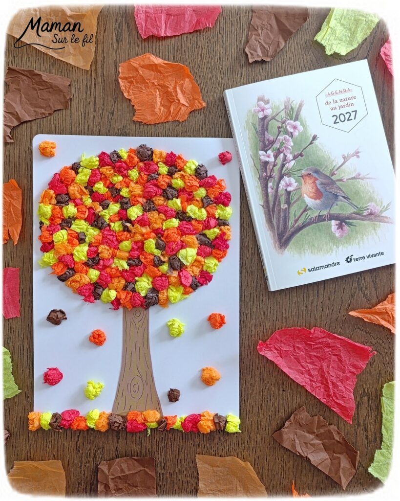 Créer un arbre d'automne en papier de soie froissé et présentation de l'agenda de la nature du jardin 2027 Salamandre : activité créative, collage et manuelle et lecture enfants - Motricité fine pour créer les boules en froissant le papier de soie (ou le papier crépon) - Récup', recyclage, surcyclage de papier de soie des colis - Découpage, collage, dessin - Avis sur le nouvel agenda de la nature au jardin Salamandre 2027 - Plein de petites informations et astuces - parfaits pour 4 à 99 ans, amoureux de la nature et des animaux - Maternelle, Primaire, collège, lycée, adultes - Complet et qualitatif - Jolies illustrations - Bricolage et décoration DIY et facile - Bricolage Fait maison, décoration - Thème Forêts, Arbres, automne, animaux, nature - Bricolage sympa et facile - Arts visuels Maternelle et cycle 2 - Maternelle et élémentaire - Créativité et lecture jeunesse - Cycle 1 ou 2 - tutoriel photos et vidéo - mslf
