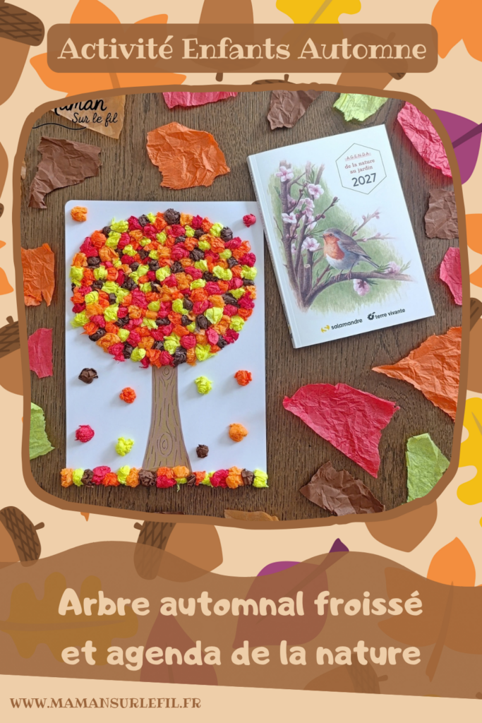 Créer un arbre d'automne en papier de soie froissé et présentation de l'agenda de la nature du jardin 2027 Salamandre : activité créative, collage et manuelle et lecture enfants - Motricité fine pour créer les boules en froissant le papier de soie (ou le papier crépon) - Récup', recyclage, surcyclage de papier de soie des colis - Découpage, collage, dessin - Avis sur le nouvel agenda de la nature au jardin Salamandre 2027 - Plein de petites informations et astuces - parfaits pour 4 à 99 ans, amoureux de la nature et des animaux - Maternelle, Primaire, collège, lycée, adultes - Complet et qualitatif - Jolies illustrations - Bricolage et décoration DIY et facile - Bricolage Fait maison, décoration - Thème Forêts, Arbres, automne, animaux, nature - Bricolage sympa et facile - Arts visuels Maternelle et cycle 2 - Maternelle et élémentaire - Créativité et lecture jeunesse - Cycle 1 ou 2 - tutoriel photos et vidéo - mslf
