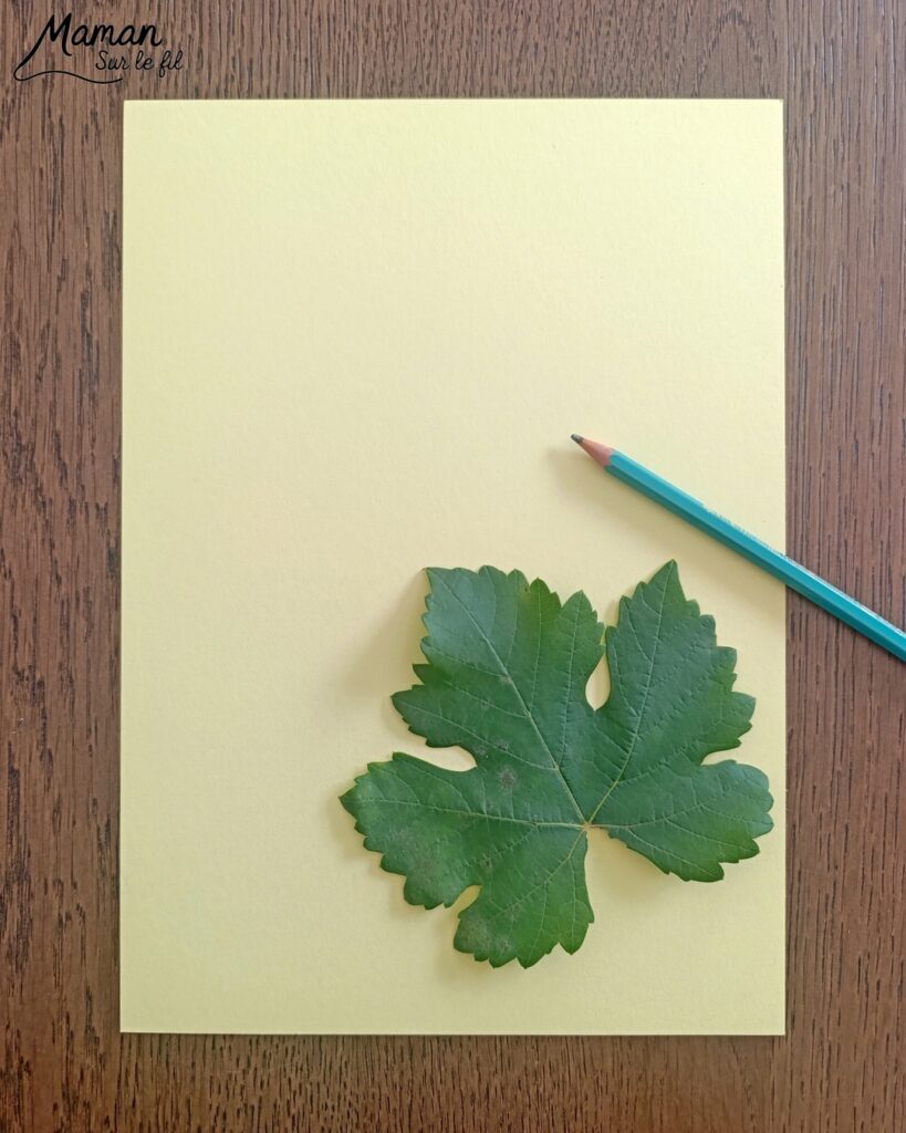 Dessiner un renard avec une feuille de vigne : activité créative, nature, dessin et manuelle - Land art - Utilisation de la nature dans les créations - Dessiner le contour d'une feuille de vigne et la colorier - Dessin, coloriage, découpage, collage - Tête de renard rigolote - Carte automnale - Bricolage et décoration DIY et facile - Bricolage Fait maison, décoration - Thème Animaux de la forêts, des bois de la campagne, automne - Bricolage sympa et facile - Arts visuels Maternelle et cycle 2 - Maternelle et élémentaire - Créativité - Cycle 1 ou 2 - tutoriel photos et vidéo - mslf