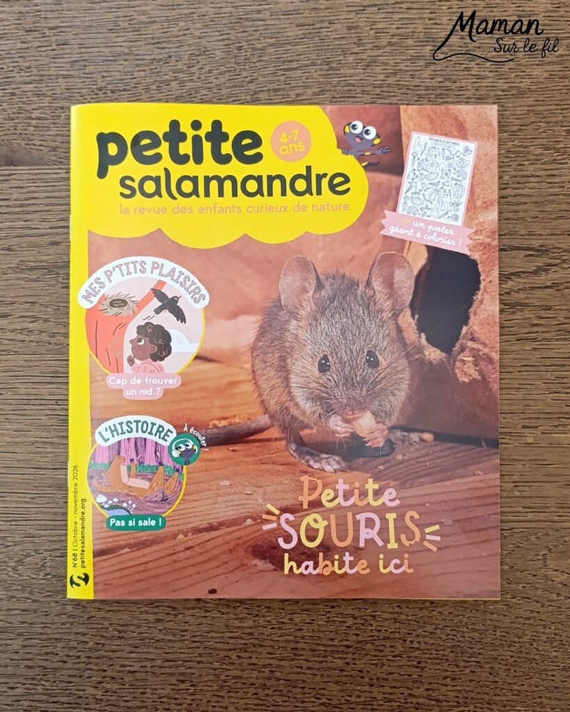 Fabriquer une souris d'Halloween avec un déguisement de fantôme + présentation des nouveaux magazines Salamandre : activité créative et manuelle et lecture enfants - La souris est crée avec de la feutrine (découpage, collage) - Le déguisement est fait en papier - Panier citrouille pour côté mignon - Avis sur les nouveaux magazines Petite Salamandre sur les souris, Salamandre Junior sur les vautours, et Revue Salamandre sur les oiseaux de manière générale - Magazines parfaits pour 4 à 99 ans, enfants et adultes, amoureux de la nature et des animaux - Maternelle, Primaire et collège - 3 versions pour tout âge - Complet et qualitatif - Reportages, belles photos, BD, jeux, activités manuelles... - Bricolage et décoration DIY et facile - Bricolage Fait maison, décoration - Thème Animaux et nature, animaux de la ferme, de la campagne, de la forêt, oiseaux, automne - Bricolage sympa et facile - Code promo pour un numéro gratuit - Arts visuels Maternelle et cycle 2 - Maternelle et élémentaire - Créativité et lecture jeunesse - Cycle 1 ou 2 - tutoriel photos - mslf