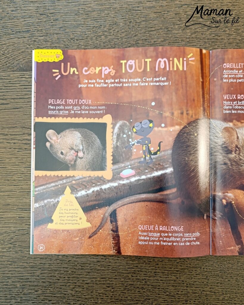 Fabriquer une souris d'Halloween avec un déguisement de fantôme + présentation des nouveaux magazines Salamandre : activité créative et manuelle et lecture enfants - La souris est crée avec de la feutrine (découpage, collage) - Le déguisement est fait en papier - Panier citrouille pour côté mignon - Avis sur les nouveaux magazines Petite Salamandre sur les souris, Salamandre Junior sur les vautours, et Revue Salamandre sur les oiseaux de manière générale - Magazines parfaits pour 4 à 99 ans, enfants et adultes, amoureux de la nature et des animaux - Maternelle, Primaire et collège - 3 versions pour tout âge - Complet et qualitatif - Reportages, belles photos, BD, jeux, activités manuelles... - Bricolage et décoration DIY et facile - Bricolage Fait maison, décoration - Thème Animaux et nature, animaux de la ferme, de la campagne, de la forêt, oiseaux, automne - Bricolage sympa et facile - Code promo pour un numéro gratuit - Arts visuels Maternelle et cycle 2 - Maternelle et élémentaire - Créativité et lecture jeunesse - Cycle 1 ou 2 - tutoriel photos - mslf