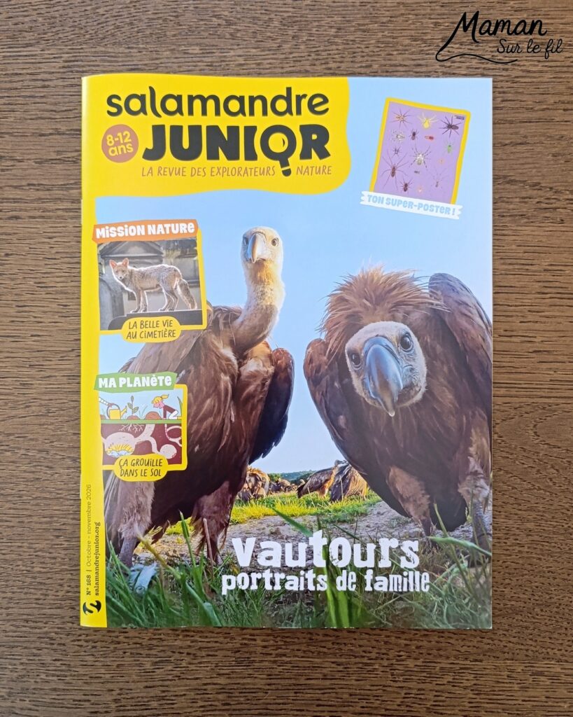 Fabriquer une souris d'Halloween avec un déguisement de fantôme + présentation des nouveaux magazines Salamandre : activité créative et manuelle et lecture enfants - La souris est crée avec de la feutrine (découpage, collage) - Le déguisement est fait en papier - Panier citrouille pour côté mignon - Avis sur les nouveaux magazines Petite Salamandre sur les souris, Salamandre Junior sur les vautours, et Revue Salamandre sur les oiseaux de manière générale - Magazines parfaits pour 4 à 99 ans, enfants et adultes, amoureux de la nature et des animaux - Maternelle, Primaire et collège - 3 versions pour tout âge - Complet et qualitatif - Reportages, belles photos, BD, jeux, activités manuelles... - Bricolage et décoration DIY et facile - Bricolage Fait maison, décoration - Thème Animaux et nature, animaux de la ferme, de la campagne, de la forêt, oiseaux, automne - Bricolage sympa et facile - Code promo pour un numéro gratuit - Arts visuels Maternelle et cycle 2 - Maternelle et élémentaire - Créativité et lecture jeunesse - Cycle 1 ou 2 - tutoriel photos - mslf