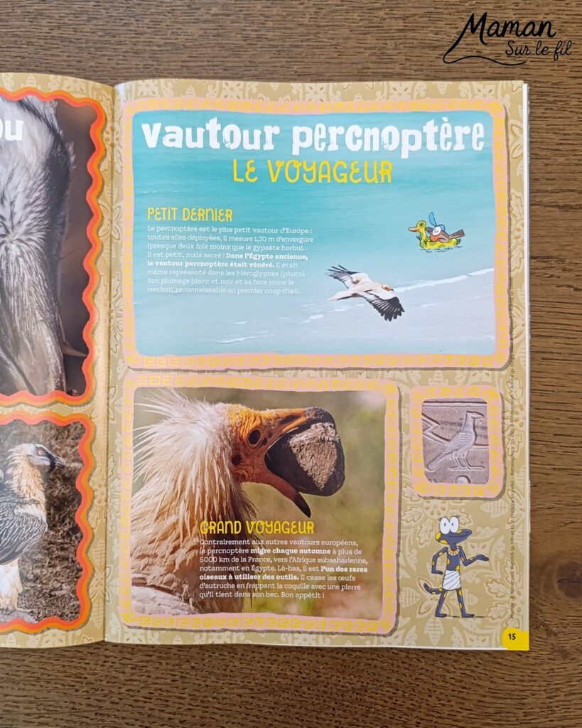 Fabriquer une souris d'Halloween avec un déguisement de fantôme + présentation des nouveaux magazines Salamandre : activité créative et manuelle et lecture enfants - La souris est crée avec de la feutrine (découpage, collage) - Le déguisement est fait en papier - Panier citrouille pour côté mignon - Avis sur les nouveaux magazines Petite Salamandre sur les souris, Salamandre Junior sur les vautours, et Revue Salamandre sur les oiseaux de manière générale - Magazines parfaits pour 4 à 99 ans, enfants et adultes, amoureux de la nature et des animaux - Maternelle, Primaire et collège - 3 versions pour tout âge - Complet et qualitatif - Reportages, belles photos, BD, jeux, activités manuelles... - Bricolage et décoration DIY et facile - Bricolage Fait maison, décoration - Thème Animaux et nature, animaux de la ferme, de la campagne, de la forêt, oiseaux, automne - Bricolage sympa et facile - Code promo pour un numéro gratuit - Arts visuels Maternelle et cycle 2 - Maternelle et élémentaire - Créativité et lecture jeunesse - Cycle 1 ou 2 - tutoriel photos - mslf