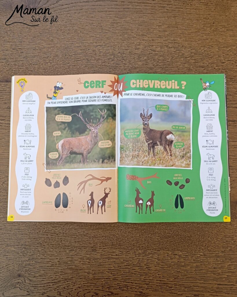 Fabriquer une souris d'Halloween avec un déguisement de fantôme + présentation des nouveaux magazines Salamandre : activité créative et manuelle et lecture enfants - La souris est crée avec de la feutrine (découpage, collage) - Le déguisement est fait en papier - Panier citrouille pour côté mignon - Avis sur les nouveaux magazines Petite Salamandre sur les souris, Salamandre Junior sur les vautours, et Revue Salamandre sur les oiseaux de manière générale - Magazines parfaits pour 4 à 99 ans, enfants et adultes, amoureux de la nature et des animaux - Maternelle, Primaire et collège - 3 versions pour tout âge - Complet et qualitatif - Reportages, belles photos, BD, jeux, activités manuelles... - Bricolage et décoration DIY et facile - Bricolage Fait maison, décoration - Thème Animaux et nature, animaux de la ferme, de la campagne, de la forêt, oiseaux, automne - Bricolage sympa et facile - Code promo pour un numéro gratuit - Arts visuels Maternelle et cycle 2 - Maternelle et élémentaire - Créativité et lecture jeunesse - Cycle 1 ou 2 - tutoriel photos - mslf