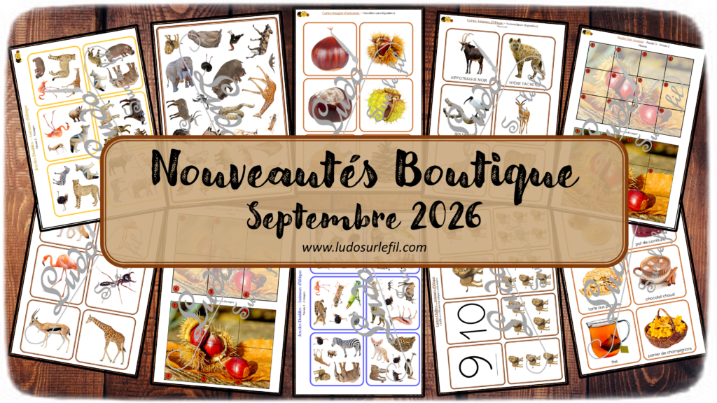 Nouveautés septembre 2026 - Boutique en ligne Ludo sur le fil - fichiers jeux pdf à télécharger et imprimer ou jeux imprimés envoyés à domicile - Thèmes Animaux d'Afrique, de la savane, du désert, été, automne, saisons - jeu des doubles, cherche et trouve, Cartes chiffres, Cartes type Montessori, classifiées, nomenclature, tickets de lecture,  puzzles trac, kit thématique, calcul, dénombrement, mathématiques, lecture, observation, discrimination visuelle, mémoire, langage oral, vocabulaire, Montessori - Photos sur fond blanc - Association, mise en paire, mathématiques - jeux, activités - PDF à télécharger et imprimer - PDF Gratuit, Printable à télécharger gratuitement - Kit thématique - atelier autocorrectif multi niveaux donc progressif - Vocabulaire, lexique - Maternelle Cycle 2 - Autonomie - mslf