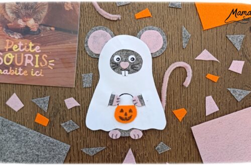 Fabriquer une souris d'Halloween avec un déguisement de fantôme + présentation des nouveaux magazines Salamandre : activité créative et manuelle et lecture enfants - La souris est crée avec de la feutrine (découpage, collage) - Le déguisement est fait en papier - Panier citrouille pour côté mignon - Avis sur les nouveaux magazines Petite Salamandre sur les souris, Salamandre Junior sur les vautours, et Revue Salamandre sur les oiseaux de manière générale - Magazines parfaits pour 4 à 99 ans, enfants et adultes, amoureux de la nature et des animaux - Maternelle, Primaire et collège - 3 versions pour tout âge - Complet et qualitatif - Reportages, belles photos, BD, jeux, activités manuelles... - Bricolage et décoration DIY et facile - Bricolage Fait maison, décoration - Thème Animaux et nature, animaux de la ferme, de la campagne, de la forêt, oiseaux, automne - Bricolage sympa et facile - Code promo pour un numéro gratuit - Arts visuels Maternelle et cycle 2 - Maternelle et élémentaire - Créativité et lecture jeunesse - Cycle 1 ou 2 - tutoriel photos - mslf