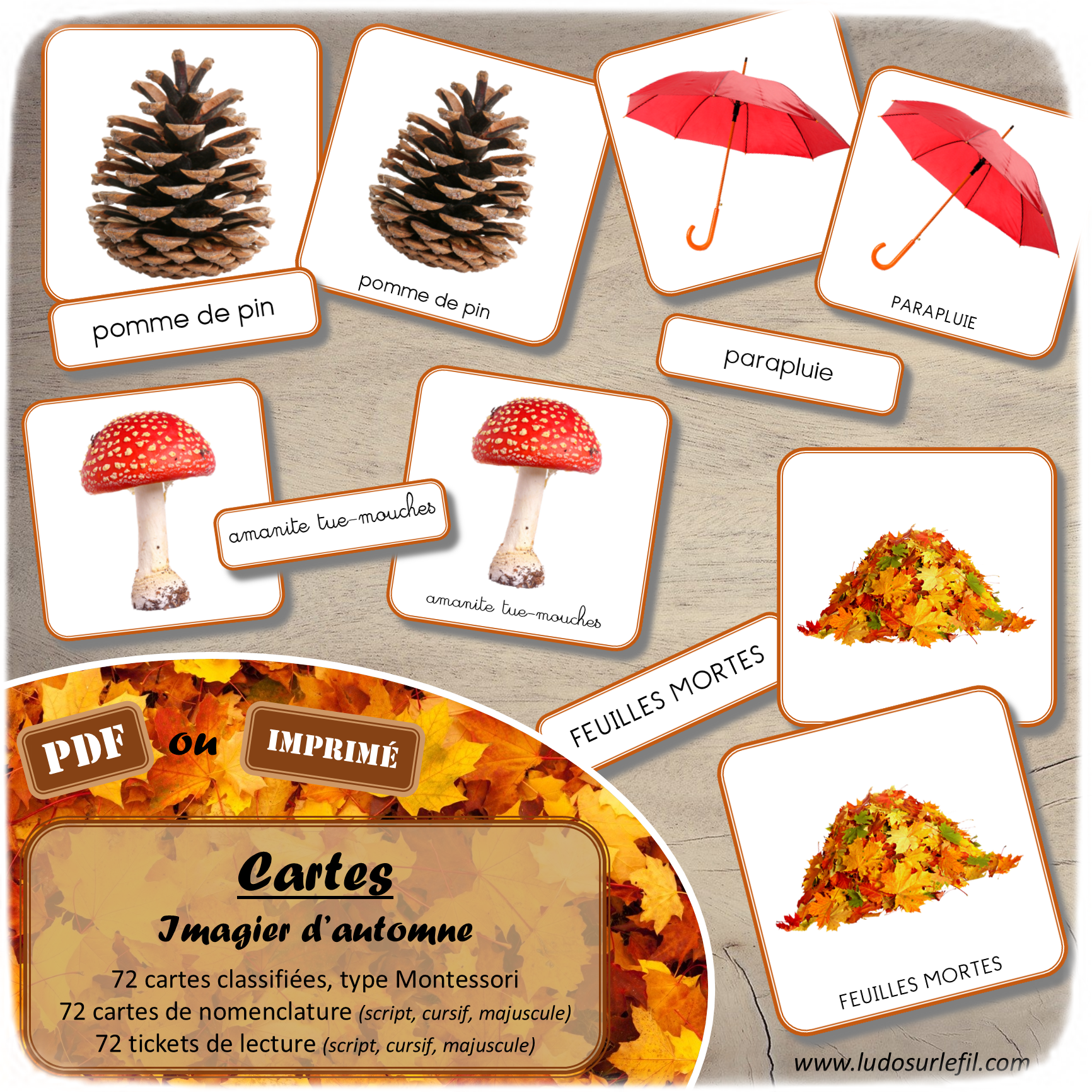 Jeu de cartes type Montessori (classifiées et de nomenclature) - Imagier d'automne - Animaux de la forêt, nature et forêt, aliments, arbres, champignons, objets, météo, vêtements... - Photos sur fond blanc - Autocorrection au dos (noms pour lecteurs, symboles pour non lecteur) - 3 graphies disponibles - Script, majuscule, cursif - Document PDF à télécharger et imprimer ou jeu imprimé - 72 cartes - Tickets de lecture - atelier autocorrectif maternelle élémentaire - Cycle 1 ou 2 - discrimination visuelle, observation, culture générale, lecture de mots, langage oral, lexique - 4 saisons - lslf