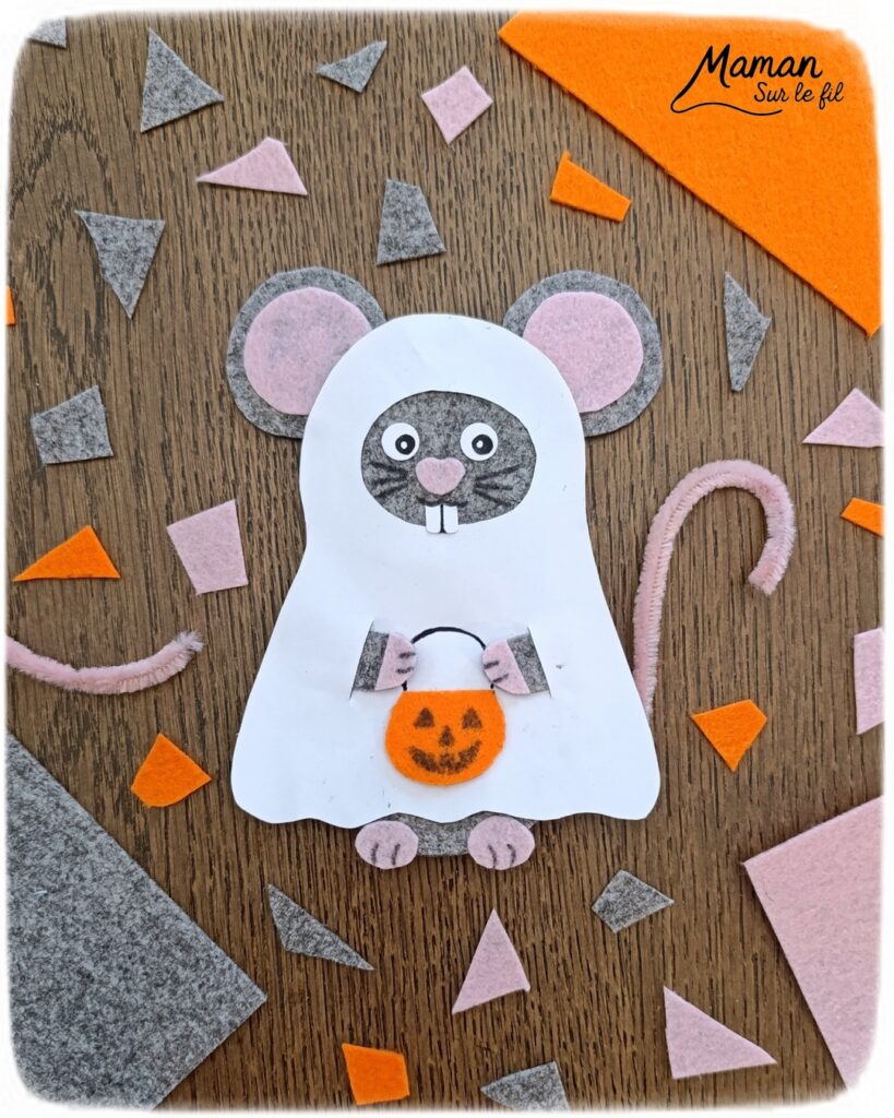 Fabriquer une souris d'Halloween avec un déguisement de fantôme + présentation des nouveaux magazines Salamandre : activité créative et manuelle et lecture enfants - La souris est crée avec de la feutrine (découpage, collage) - Le déguisement est fait en papier - Panier citrouille pour côté mignon - Avis sur les nouveaux magazines Petite Salamandre sur les souris, Salamandre Junior sur les vautours, et Revue Salamandre sur les oiseaux de manière générale - Magazines parfaits pour 4 à 99 ans, enfants et adultes, amoureux de la nature et des animaux - Maternelle, Primaire et collège - 3 versions pour tout âge - Complet et qualitatif - Reportages, belles photos, BD, jeux, activités manuelles... - Bricolage et décoration DIY et facile - Bricolage Fait maison, décoration - Thème Animaux et nature, animaux de la ferme, de la campagne, de la forêt, oiseaux, automne - Bricolage sympa et facile - Code promo pour un numéro gratuit - Arts visuels Maternelle et cycle 2 - Maternelle et élémentaire - Créativité et lecture jeunesse - Cycle 1 ou 2 - tutoriel photos - mslf